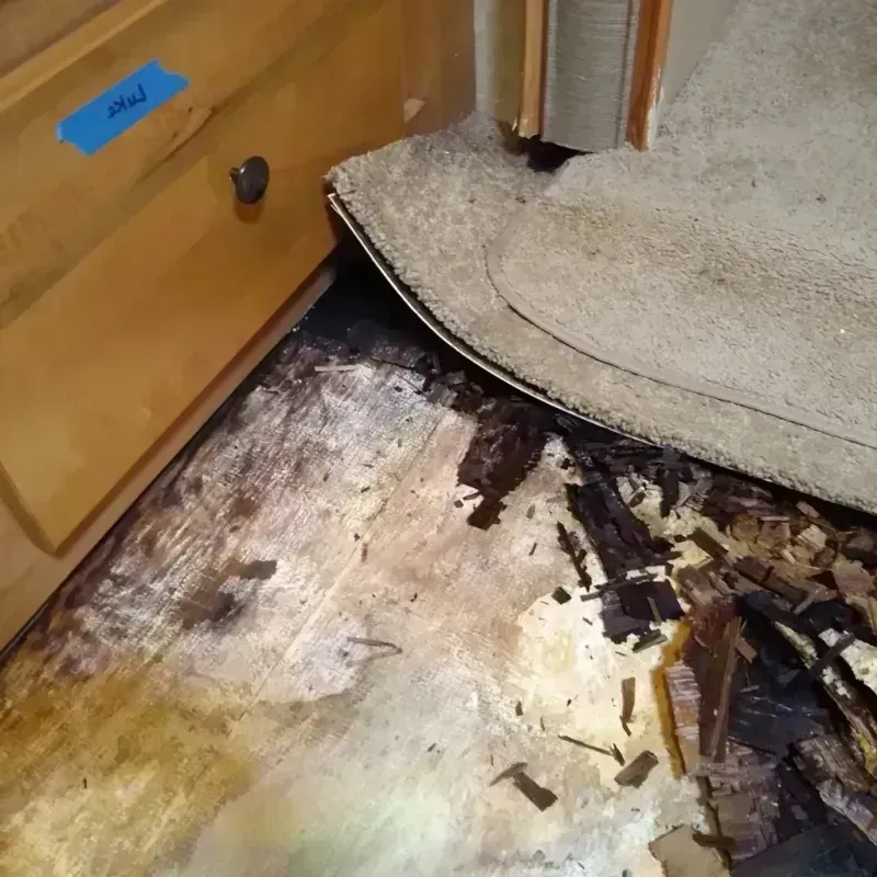 Wood Floor Water Damage in Clarkton, MO